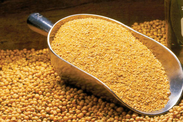 /img/soybean-meal.jpg